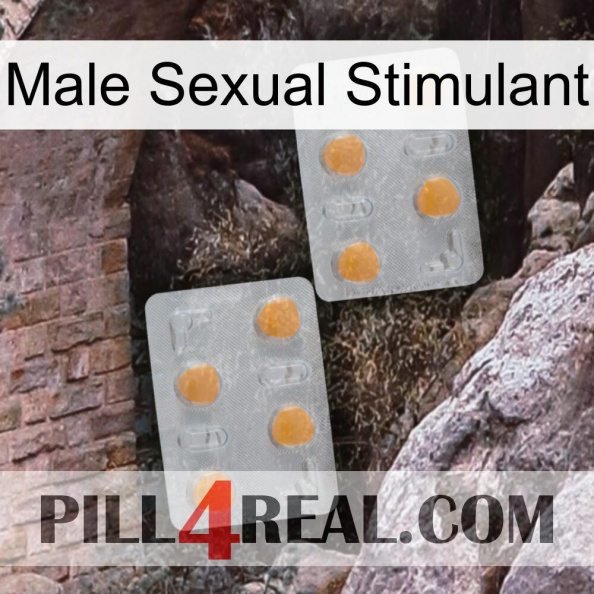 Male Sexual Stimulant 25.jpg